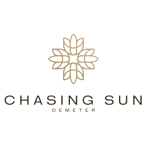 ChasingSun logo